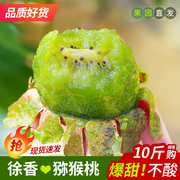 正宗徐香猕猴桃，陕西眉县新鲜香甜绿心奇异果，当季水果30枚