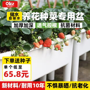 种植箱种菜专用箱楼顶草莓盆家庭阳台特大高脚塑料花盆长方形花箱
