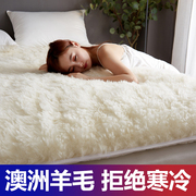 羊毛床垫软垫加厚保暖床，褥子双人家用垫褥垫被，单人冬季羊羔绒垫子
