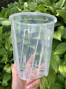透明控根蝴蝶兰专用花盆，塑料透气加厚海芋花烛蔓绿绒镂空青山花盆