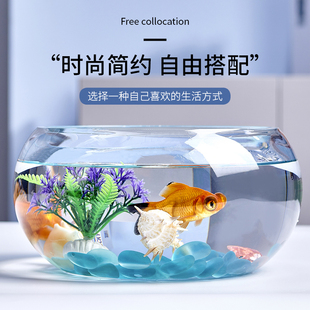 创意水族箱生态圆形玻璃金鱼缸(金鱼缸，)大号乌龟缸，迷你小型造景水培花瓶