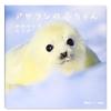 预 售海豹宝宝 可爱的秘密 アザラシの赤ちゃん かわいいのヒミツ日文摄影原版图书进口书籍小原 玲