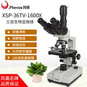 凤凰生物光学显微镜xsp-36TV双目教学科普实验精子水产畜牧螨虫