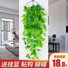 仿真植物假花藤条藤蔓装饰绿植墙墙壁挂花吊篮绿萝墙面爬山虎壁挂