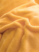 珊瑚绒毛毯床单毛绒加厚法兰绒，单件床单式双人，单人毯子1.2床1.8床
