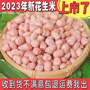 2023年花生米生新河南新货农家大颗粒新鲜白沙生花生仁