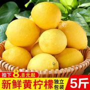 四川安岳黄柠檬(黄柠檬)新鲜皮薄一级当季香水，柠檬奶茶店专用10斤商用水果