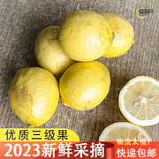 三级2023现摘安岳鲜柠檬大中小果新鲜水果皮薄柠檬通货