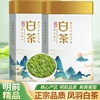 绿茶茶叶 原产白茶一级明前2023凤羽白茶新茶头采春茶黄金芽500g