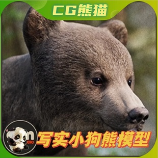 ue4虚幻5animalia-brownbear(young)小狗熊模型带动画