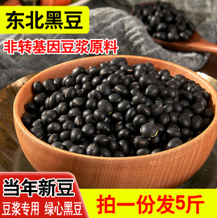 东北黑豆绿芯颗粒饱满打豆浆专用非转基因绿心农家杂粮 2.5斤黑豆