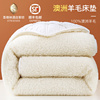 羊毛床垫软垫加厚保暖床褥子双人家用垫褥垫被冬天冬季羊羔绒垫子