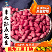 黑龙江四粒红品种 红衣花生 产自黑土地