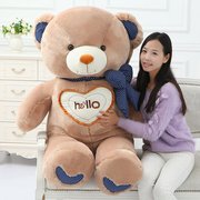 hello泰迪熊可爱熊熊公仔，抱抱熊布偶娃娃，女生日礼物毛绒玩具熊猫