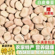 新豆干蚕豆白皮大蚕豆云南农家老品种生蚕豆米胡豆干货500g真空装