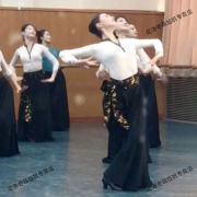 藏族舞蹈服装女蒙古服饰女古典舞蹈服现代民族，演出服装女装女族练