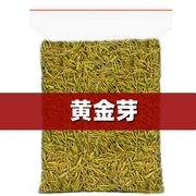 安吉珍稀白茶2022年新茶明前特级黄金芽茶叶正宗散装绿茶50g250g