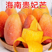 海南新鲜贵妃芒果好吃食用热带，果当季薄皮中大果(普通快递)