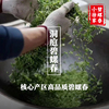 洞庭碧螺春雨前特级2024新茶小徐家绿茶，太湖苏州西山碧螺春茶叶