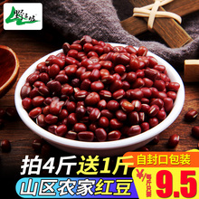 拍4斤送1斤 红豆农家自产东北新红小豆五谷杂粮豆沙非赤小豆薏米