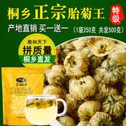 菊花茶胎菊王500g特级头采杭白菊花桐乡正宗贡杭菊