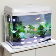 佳宝水族箱生态免换水60CM金鱼缸小中型迷你玻璃桌面S50CM大鱼缸4