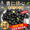 东北青仁绿心黑豆新货500g*5袋农家自产自种五谷杂粮小豆子醋泡芯