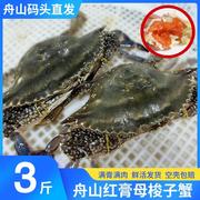 舟山梭子蟹鲜活红膏蟹母蟹超大特大螃蟹海鲜水产，东海海蟹飞蟹白蟹