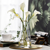 描金北欧简约 创意玻璃花瓶ins风 透明花器鲜花插花花瓶 客厅装饰