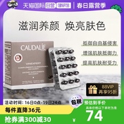 自营CAUDALIE/欧缇丽葡萄籽胶囊白藜芦醇淡斑精华30粒/盒法国