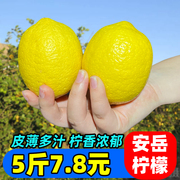 粉丝福利四川安岳黄柠檬新鲜当季水果皮薄泡饮做菜除异味