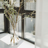 雪柳花瓶玻璃专用摆件客厅插花水培绿植高级感透明富贵竹水养吊钟