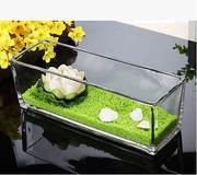 透明水培玻璃花盆花瓶乌龟缸，长方形缸s缸，植物花器绿萝水仙