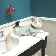 高领风衣OVERGLAM英国宠物衣服英伦狗狗猫猫薄款防风保暖外套棉服