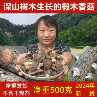 香菇干货野生椴木香菇特级家用500g2024年湖北特产干冬菇小花菇