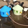 鸽子自动喂水器喂水壶，信鸽赛鸽观赏鸽鸽子用品用具，饮水器用品用具