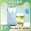 崂山绿茶2023明前新茶春茶，250g特级茶叶青岛特产崂山茶叶散装茶叶