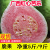 广西特产红心番石榴台湾脆芭乐潘石榴(潘，石榴)新鲜红(新鲜红)巴乐水果当季10斤