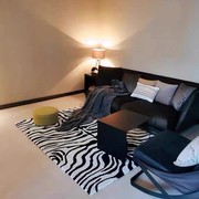轻奢黑白地毯客厅经典斑马纹地毯，高级圈绒沙发茶几垫卧室床边地毯