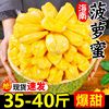 海南黄肉菠萝蜜新鲜水果，20-45斤波罗蜜当季整箱特产，一整个红