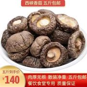 河南西峡香菇干货特级香菇冬菇五斤无根椴木香菇全干质量保证