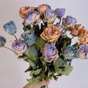 碎冰蓝玫瑰蔷薇小玫瑰真干花，花束相框手工花材软装居家装饰插花