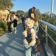 狗包外出便携狗背包大容量高颜值透气胸前宠物泰迪，双肩背带遛狗包