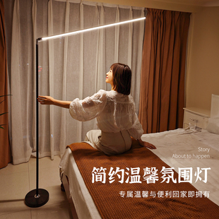 led落地灯客厅卧室立式床头灯，2023沙发旁边墙角，落地台灯氛围