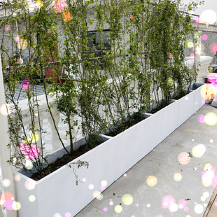 长方形水泥花盆创意个性大号北欧简约环保绿植萝家用种菜镁泥花器