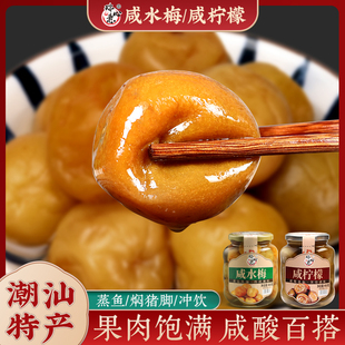瑞心意咸水梅600g/瓶 潮汕特产 咸酸梅 腌制梅子汤盐水浸青竹梅