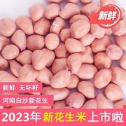 2023年新货生花生米5斤大粒白沙花生米农家自产新鲜不带壳花生仁