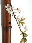 日式竹制烟熏壁挂花器插花居家装饰品花瓶花篮摆件竹笛新中式禅意