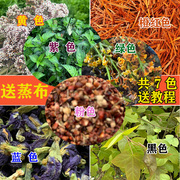 新鲜红(新鲜红)蓝草紫色，500g广西五色糯米饭紫色花，米饭植物染料紫蓝草红蓝