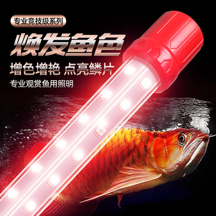 红龙红鱼专用鱼缸灯led灯，高档水族潜水灯，防水灯管超亮增艳照明灯